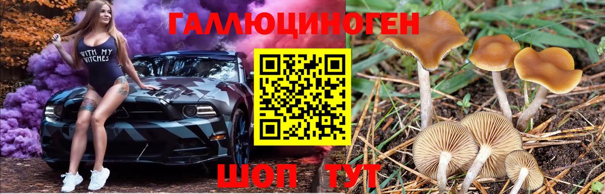Партизанск  Галлюциногенные грибы ЛСД  Вход с VPN 